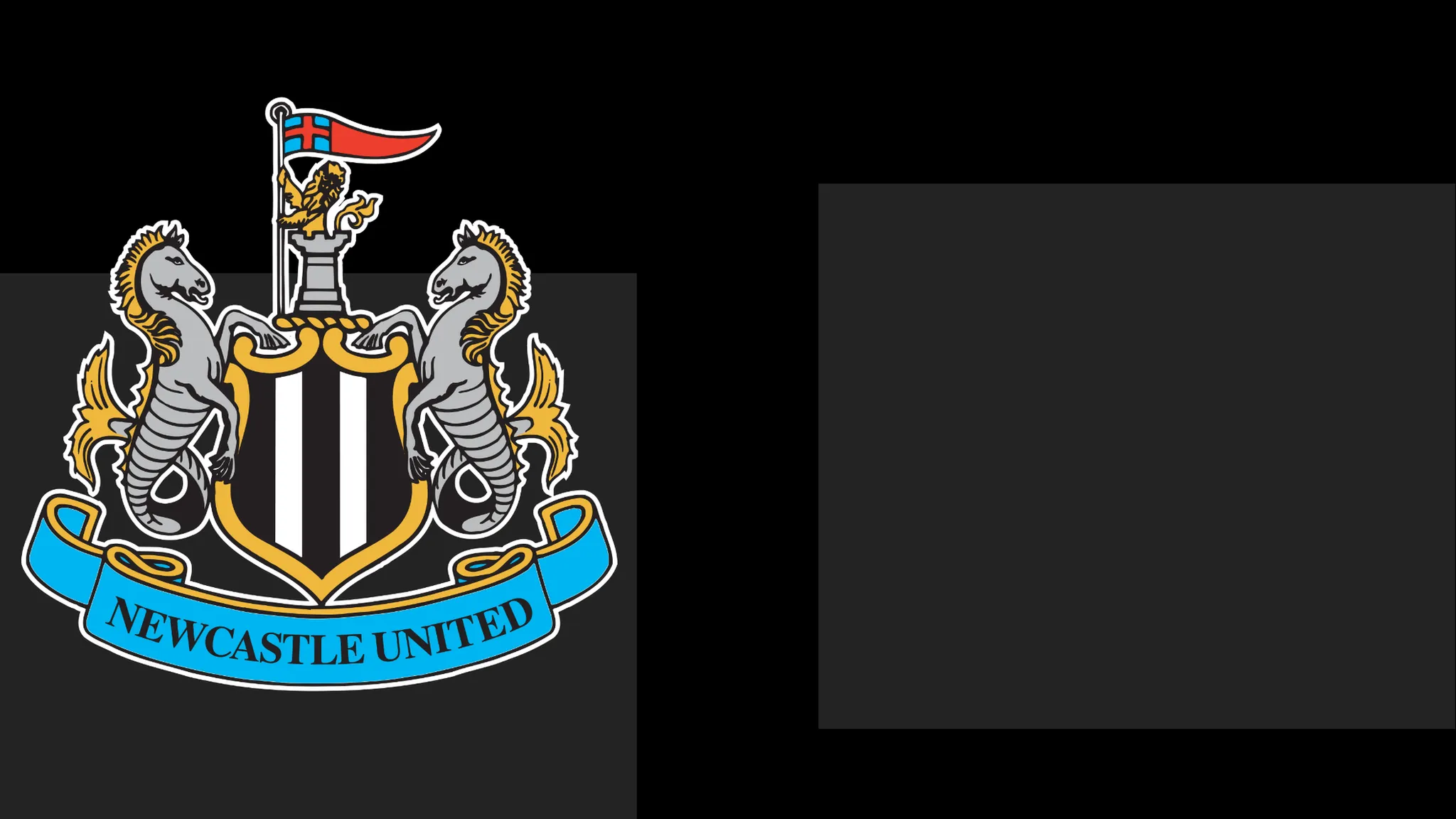 Newcastle's boss Commends Team's Determination – Yet It Only Takes Them To a Point